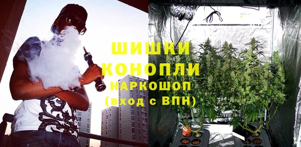 тгк Елизово