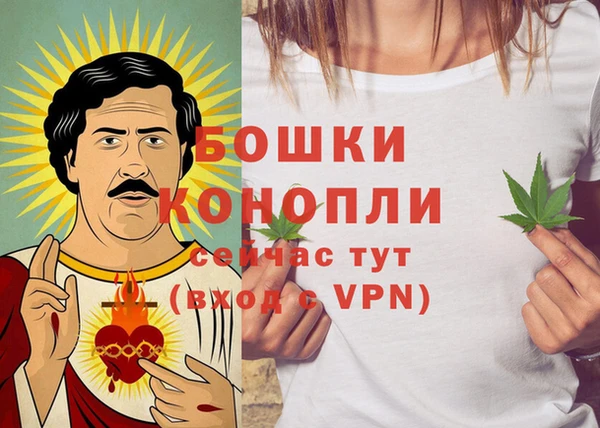 тгк Елизово