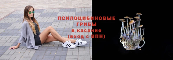 марки nbome Ельня