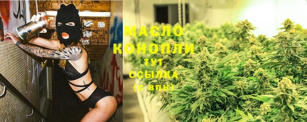тгк Елизово