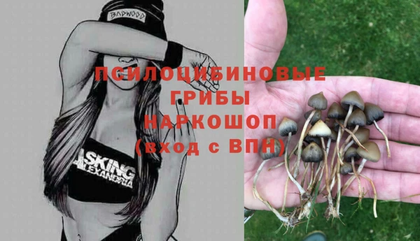 марки nbome Ельня