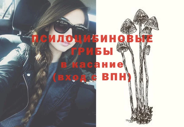 тгк Елизово