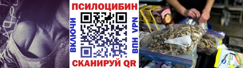 Псилоцибиновые грибы Magic Shrooms  Купить  Сысерть 
